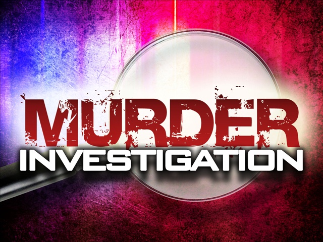 Murder-Investigation