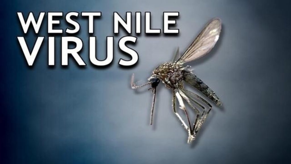 West-Nile-Virus-Sidebar---28974843_842203_ver1.0_1280_720
