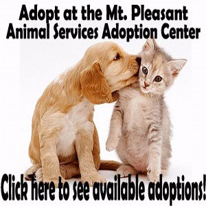 Mt. Pleasant Pet Adoption-Top Sidebar